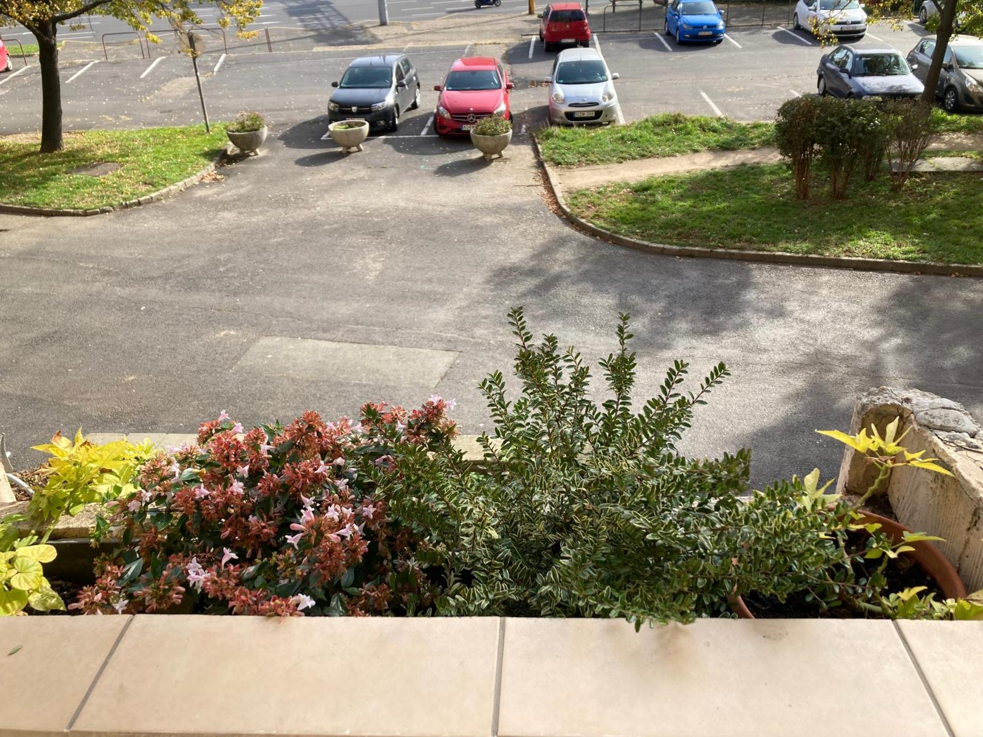 Belvarosi Classic Apartman 85 Square Meters ソンバトヘイ エクステリア 写真